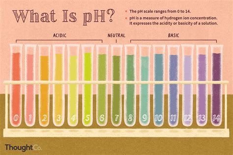 Chemistry, PH & PoH worksheet - 7 , pH AND pOH ‘ Nome M?“ r a ' : Tho
