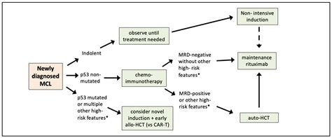 Chemotherapy: The Frontline Approach