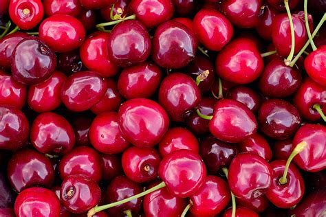 Cherries & Gout: Relief, Benefits, & Best Practices