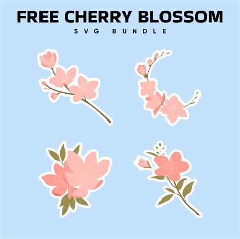 Download Cherry Blossoms SVG File - SVG Design Commercial Use Free PSD Mockups