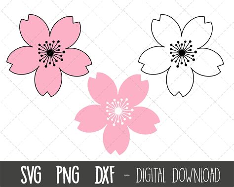 Download Cherry Blossoms SVG File - SVG Design Printable