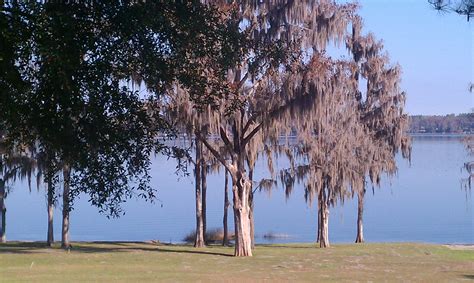 Cherry Lake Florida