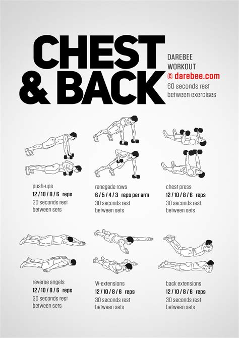 Chest and Back Exercises