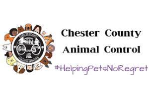 Expert Animal Control Services in Chester County, South Carolina - Safeguarding Your Community and Pets!