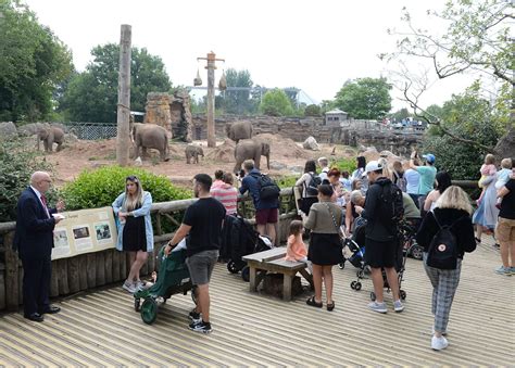 Chester Zoo crowds