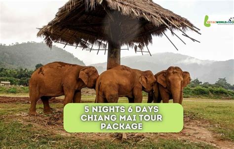 Chiang Mai Tour Package