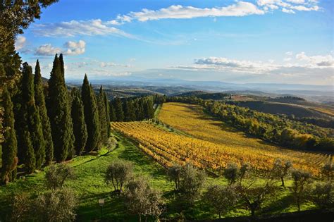 Chianti Landscape