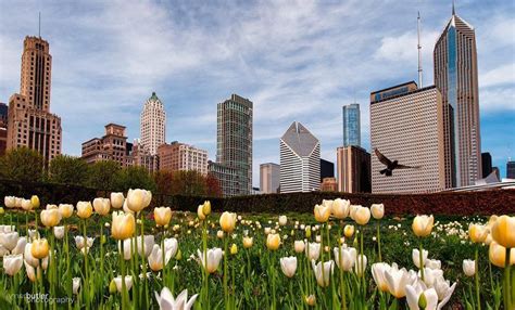 Chicago Easter