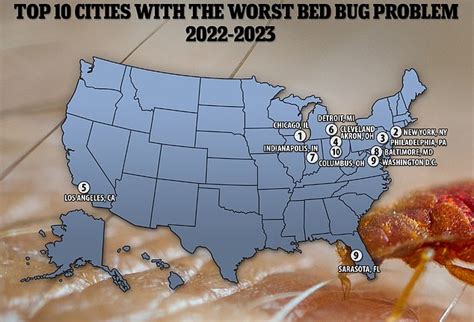 Top 10 Worst States For Bed Bugs Bed Bug Map Infographic [2021]