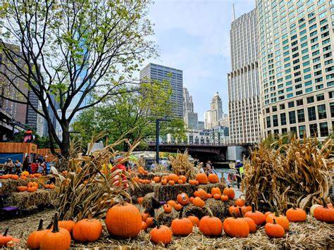 Chicago in October
