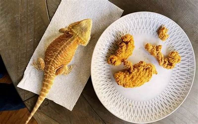 Chicken For Bearded Dragon