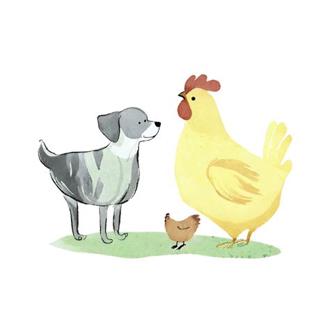 Chicken And Dog