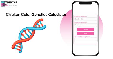 Chicken Color Calculator