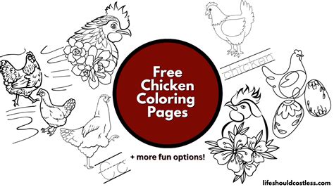 Chicken Pictures To Color