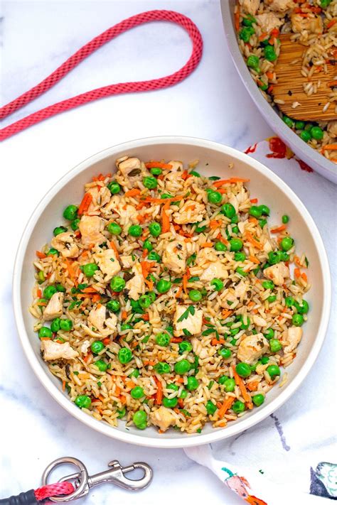 Chicken Recipes For Dogs