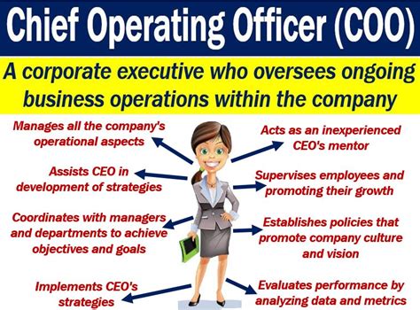 Chief Operating Officer (COO) Responsibilities PowerPoint Template