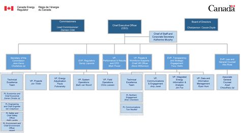 Chief Commercial Officer Org Chart
