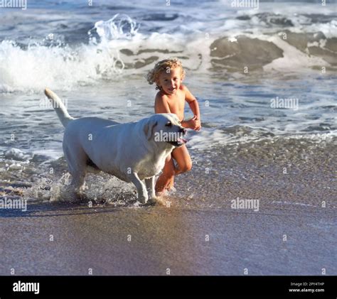 Children And Dogs Playing On Beach Wallpapers