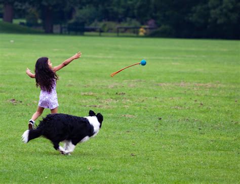 Children and Pets Having Fun While Staying Safe