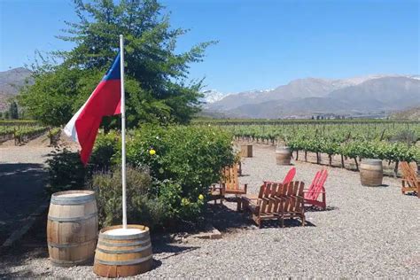 Chilean Vineyard Tour