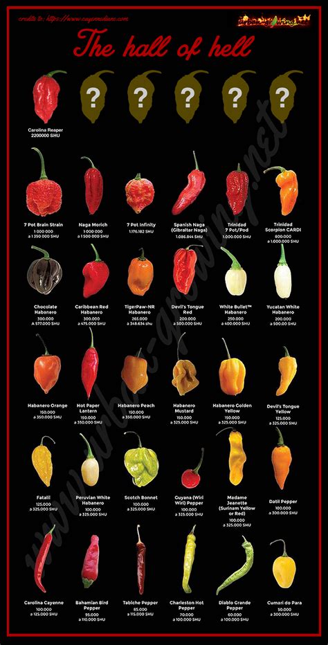 Chili Pepper Heat Chart