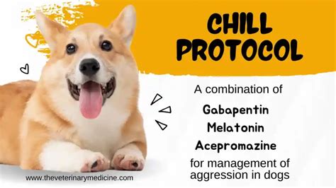 Chill Protocol For Dogs Dosage Chart
