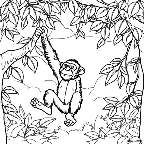 Chimp Coloring Page