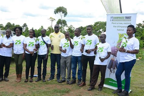 Chimpanzee Tree Planting Campaign
