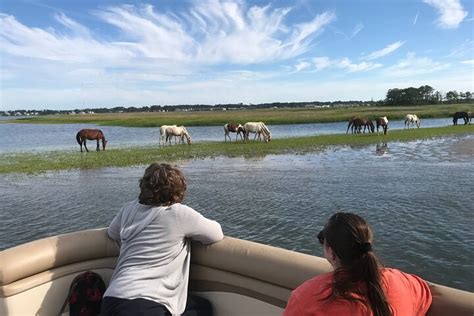 Chincoteague Boat Tour Options