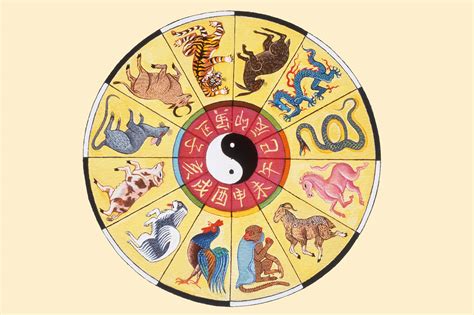 Chinese Astrological Chart