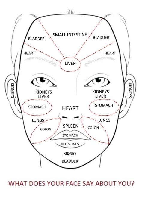 Chinese Medicine Face Chart