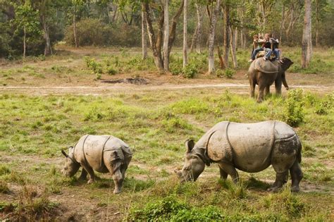 Chitwan Safari planning