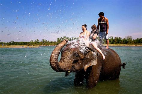 Chitwan elephant bathing