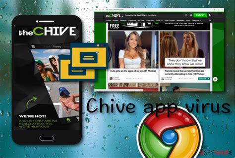 Why is the Chive App Not Displaying All Galleries? Troubleshooting Tips