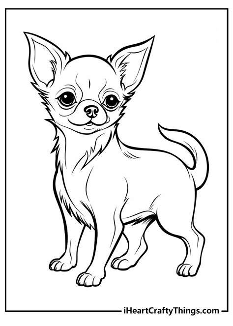 Chiwawa Dog Coloring Pages