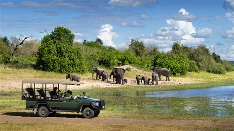 Chobe Game Drive Safari