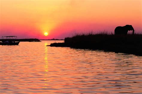 Chobe River sunset