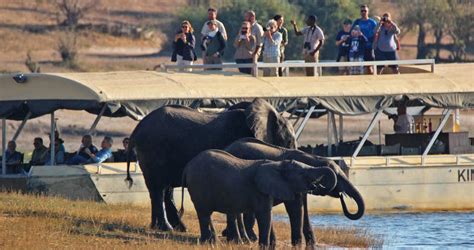 Chobe Wildlife Experience