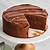 Chocolate Layer Cake Recipe Martha Stewart