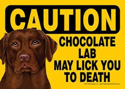 Chocolate Lab Caution May Lick You To Death Dog Sign Magnet Hook Loop
Faste eBay