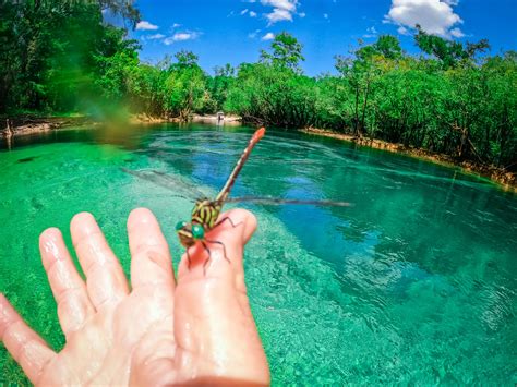 Choctawhatchee Bay exploring