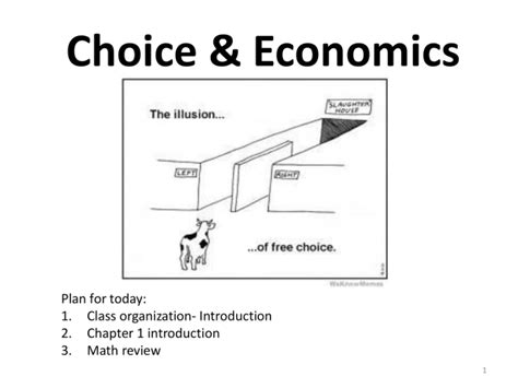 Understanding the Meaning of Choice in Economics
