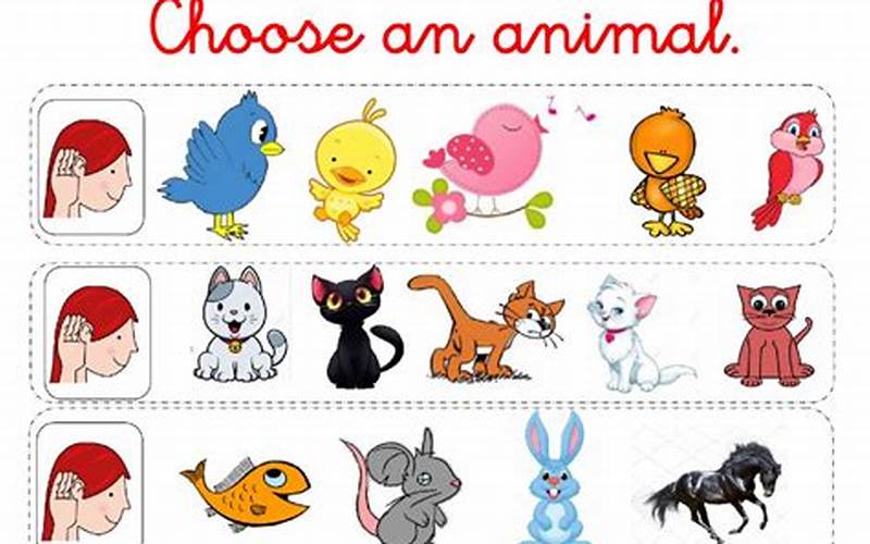 Choose An Animal