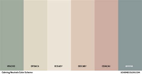 Choose a Neutral Color Palette: Create a Calming Base