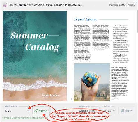 Choose an Export Format