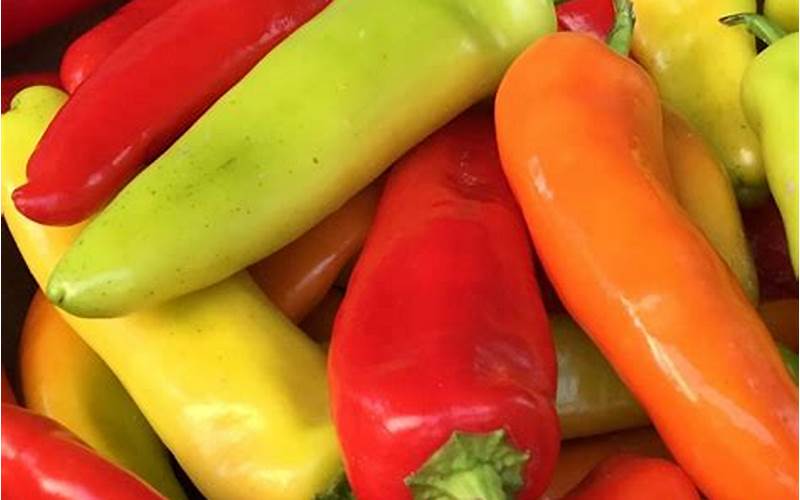 Choosing The Right Location For Hungarian Wax Peppers