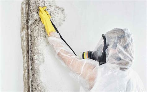 Choosing Asbestos Removal Professionals
