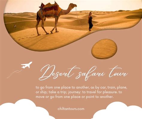 Choosing Best Desert Safari Tour Operator