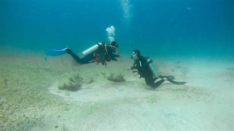 Choosing the Right Dive Center