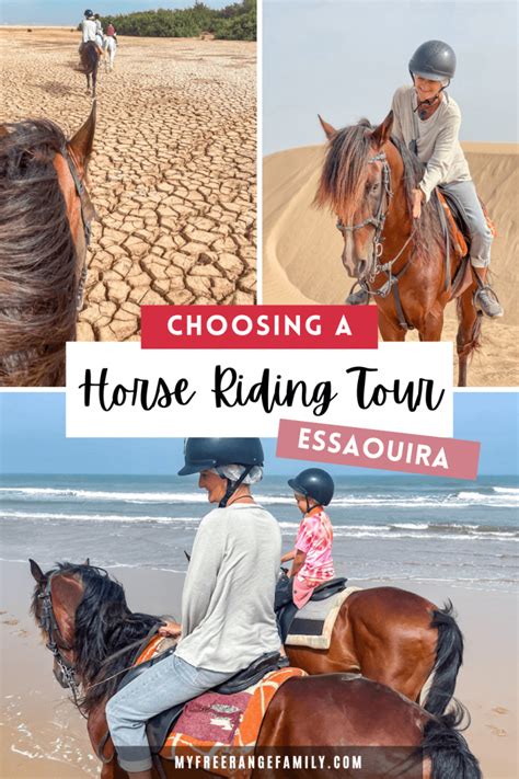 Choosing Essaouira Tour